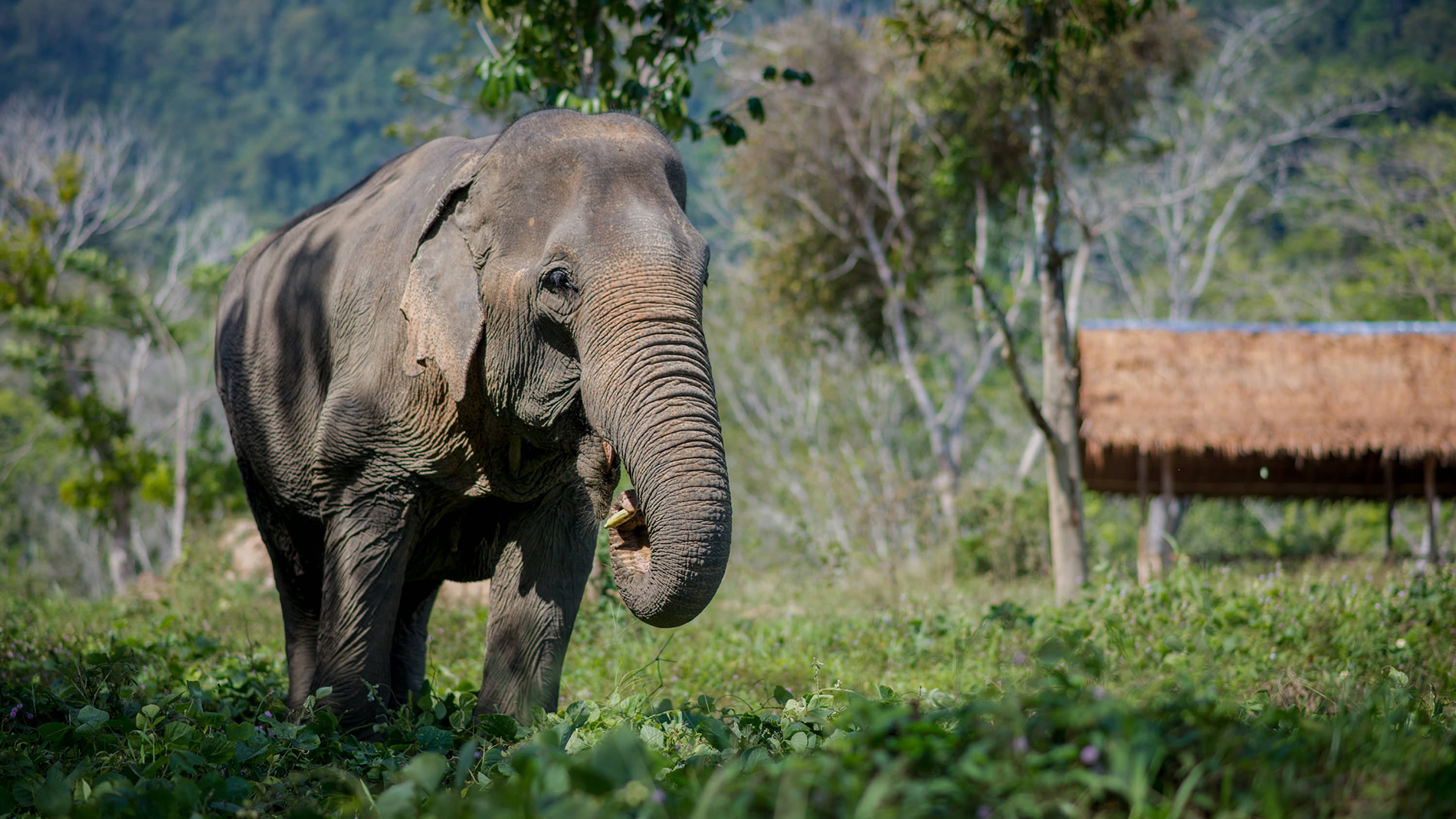 Luenge National Park, Angola - Heroes Of Adventure