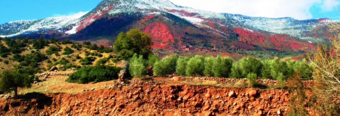 Tighdouin National Park, Marrakesh-Safi, Morocco