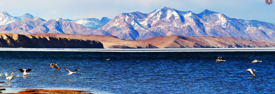 Lake Manasarovar, Burang, Ngari, China