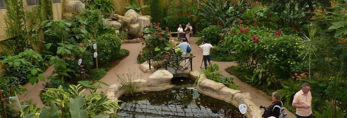 Mariposario de Benalmádena-Butterfly Park, Benalmádena, Málaga, Spain