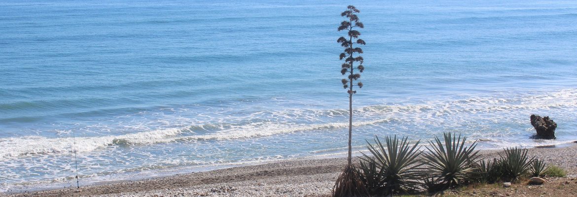 Beach of Ferrara, Torrox