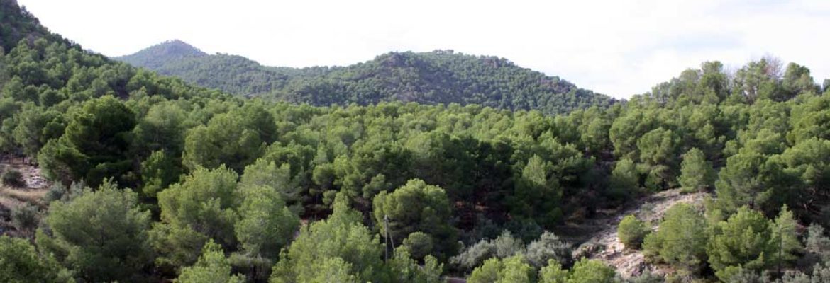 El Valle y Carrascoy, Murcia, Spain