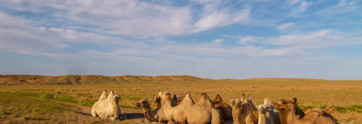 Gobi Desert, Mongolia