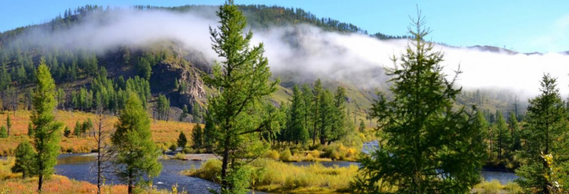 Khan Khentii Wildlife Area, Mandal, Mongolia