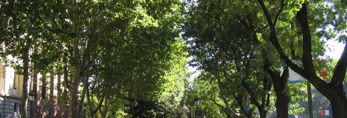 Paseo del Prado, Madrid, Spain