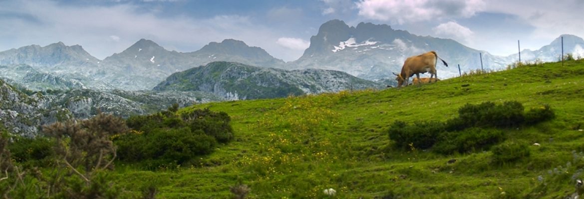 Cantabria, Asturias, Spain