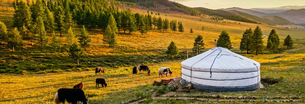 Ancient Ocean Resort, Манхан, Mongolia