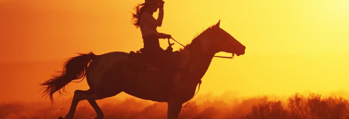 Mongolia Horse Riding Club Ger Camp, Mogngolia