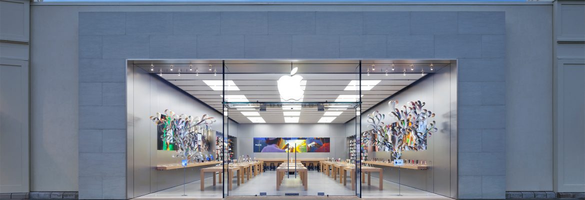 Apple Evergreen Walk | South Windsor Connecticut USA