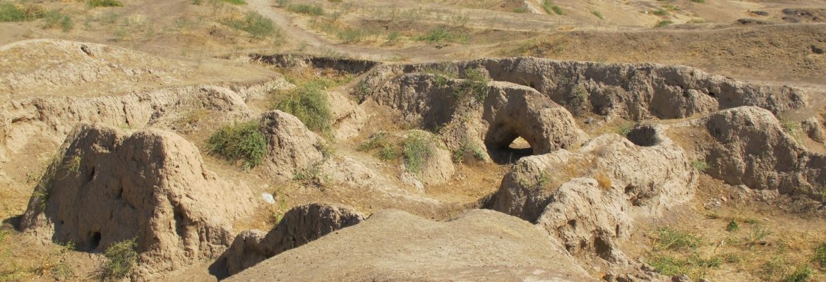 Afrasiyab Settlement,  Samarkand, Uzbekistan