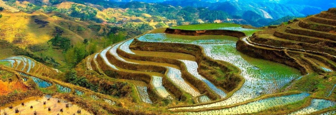 Mayoyao Rice Terraces, Ifugao, Luxen, Philippines