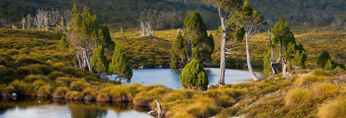 Cradle Mountain-Lake St Clair National Park, Tasmania, Australia