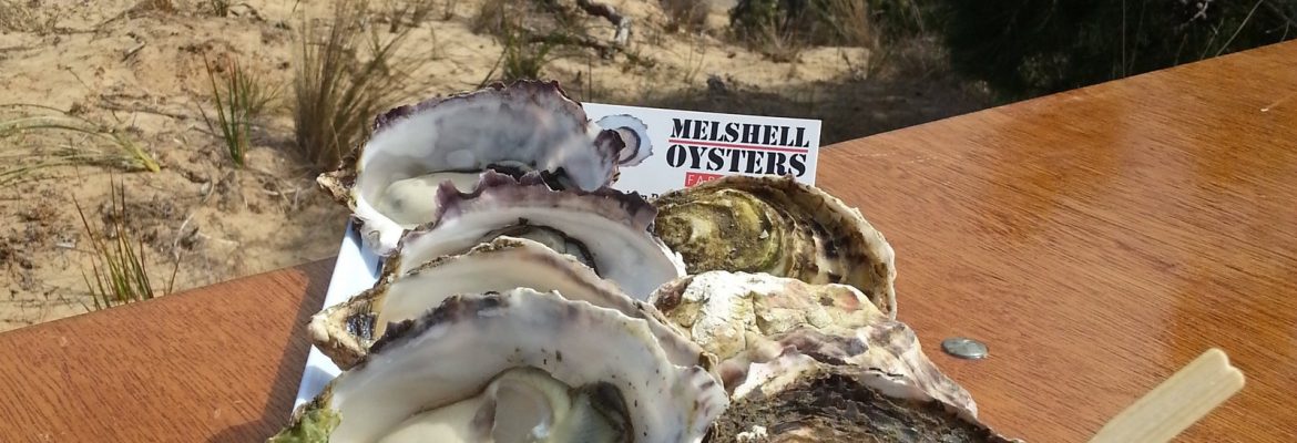 Melshell Oysters, Dolphin Sands, Tasmania, Australia