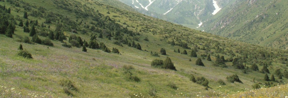 Aksu-Zhabagly Nature Reserve, Kazakhstan