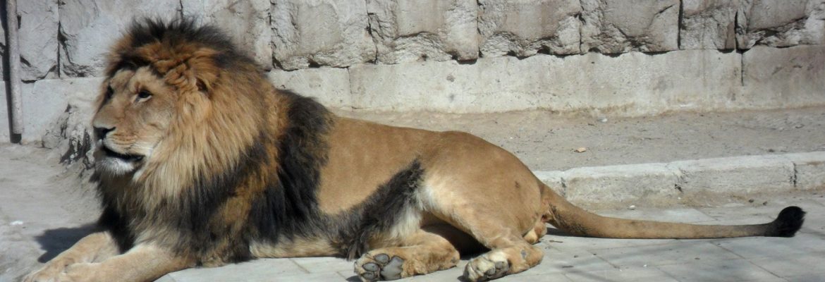 Baku Zoo, Baku, Azerbaijan