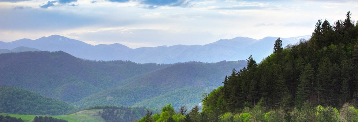 Dilijan National Park, Armenia