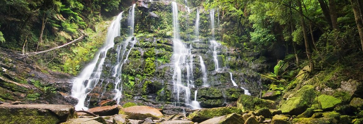 Franklin-Gordon Wild Rivers National Park, Franklin- Gordon, Tasmania, Australia