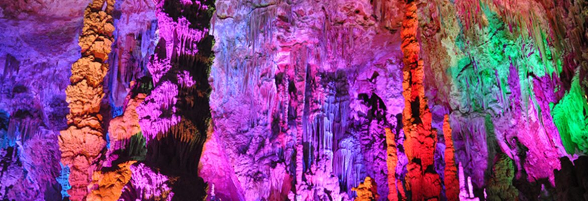 Cave Salamander, Méjannes-le-Clap, Languedoc-Roussillon, France
