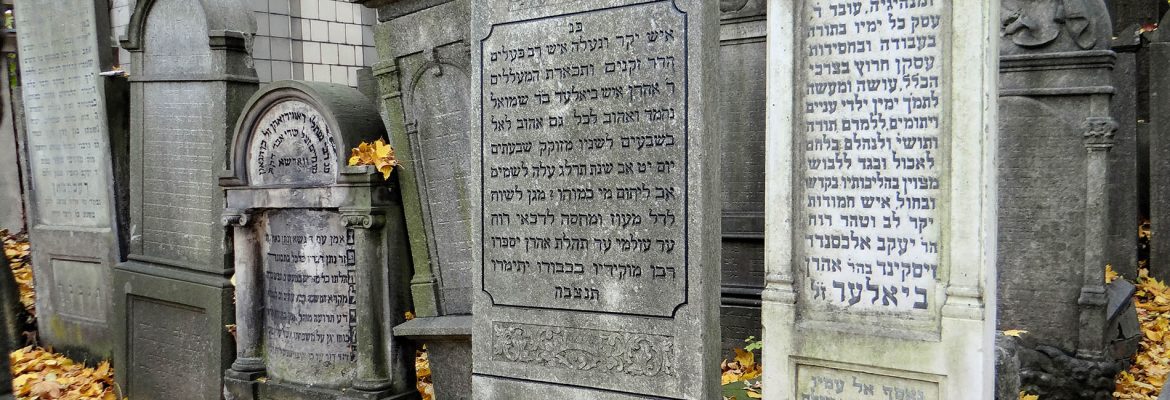 Jewish Cemetery Warsaw, Warsaw, Masovian Voivodeship, Poland