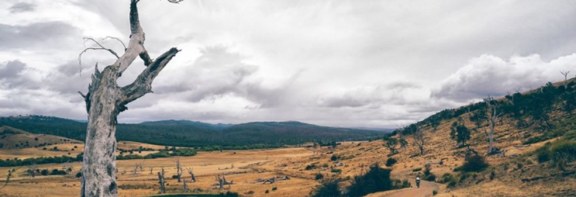 Tasmanian Trail, Devonport, Tasmania