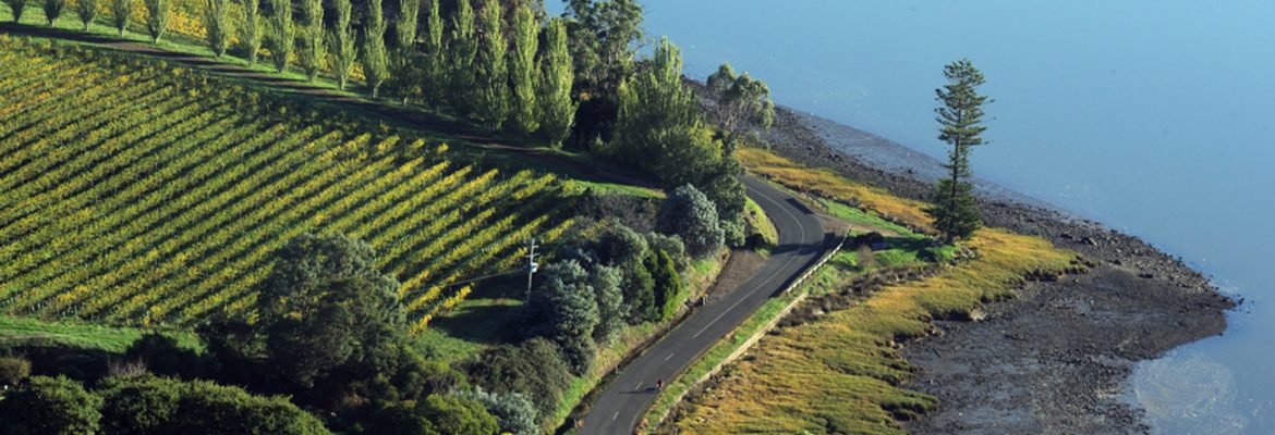 The Tamar Valley Wine Region, Launceston, Tasmania, Australia