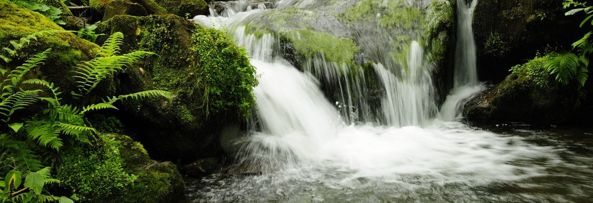 Mtirala National Park, Georgia