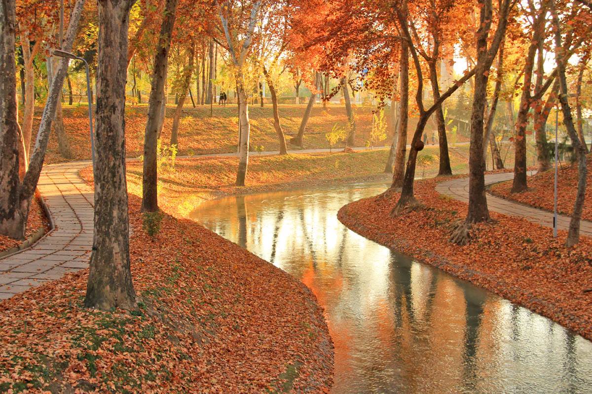 Сайты куз. Осенний Ташкент Анхор. Анхор аллея Ташкент. Осень в Узбекистане. Осень в Узбекистане рисунок.