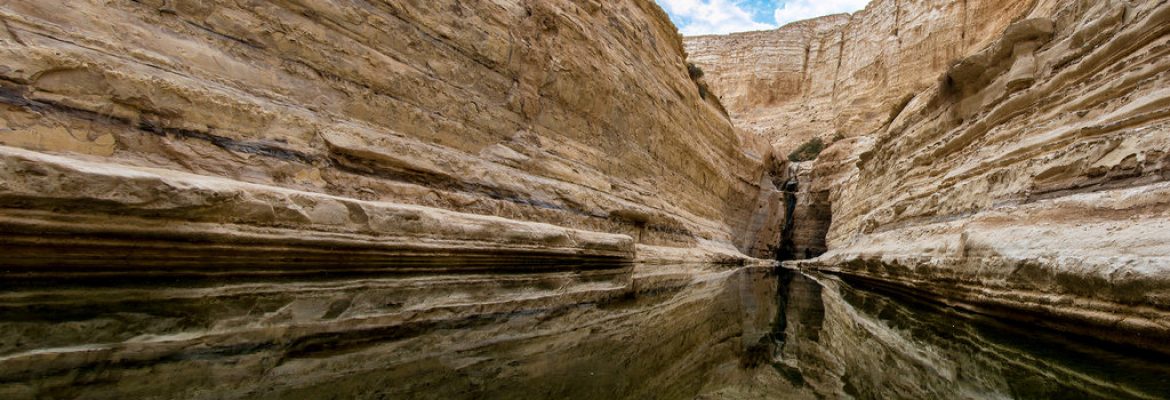 Avdat National Park