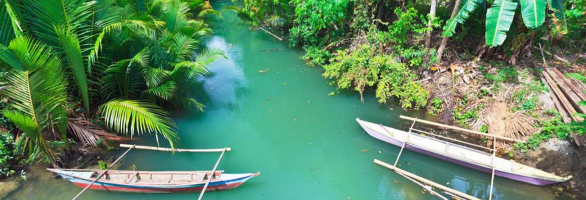 Firefly River Tours, Sorsogon, Philippines