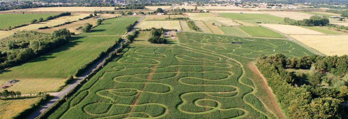 Delirious Labyrinth, Talmont-Saint-Hilaire, Pays de la Loire, France