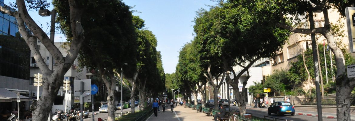 Rothschild Boulevard