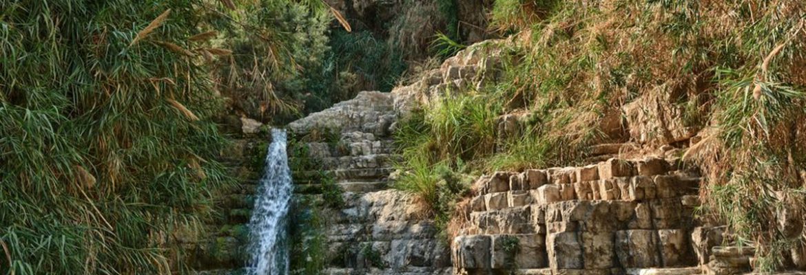 Ein Gedi Hot Springs