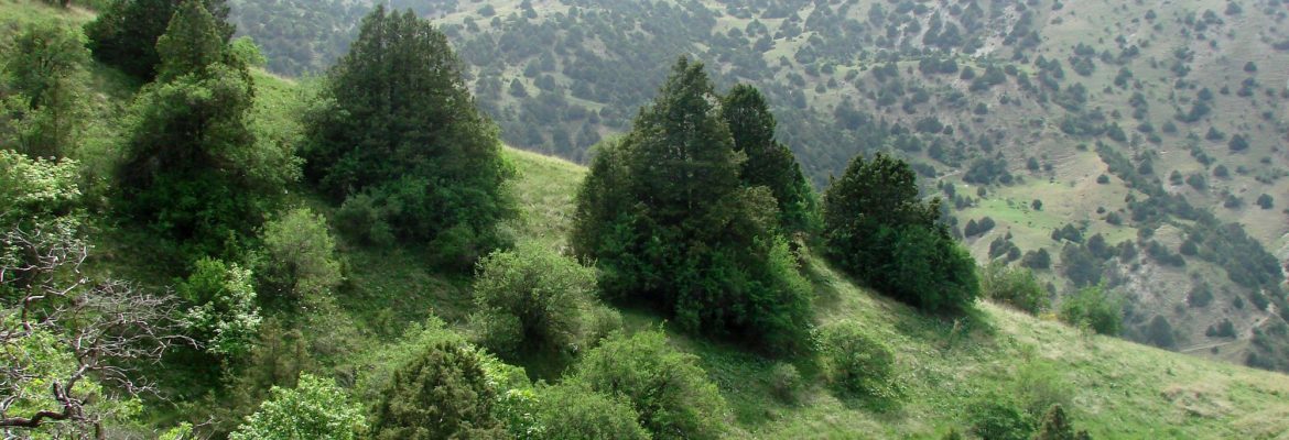 Ugam Nature Reserve, Uzbekistán