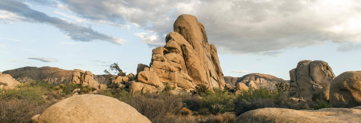 Maze Loop Trail, Joshua Tree National Park, California, USA