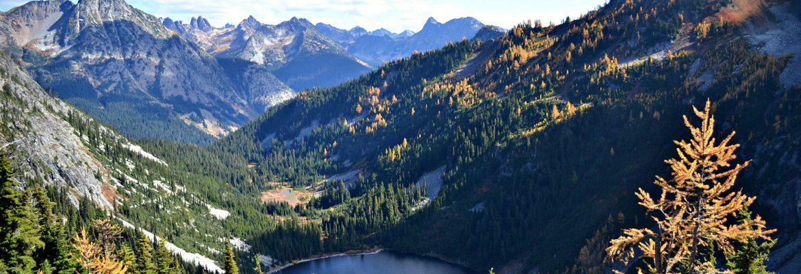 Heather Peak Trail, Olympic Peninsula, Washington, USA