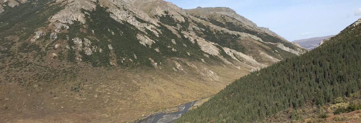 Savage Alpine Trailhead, Denali National Park, Alaska, USA