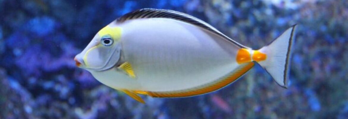 Beijing Aquarium