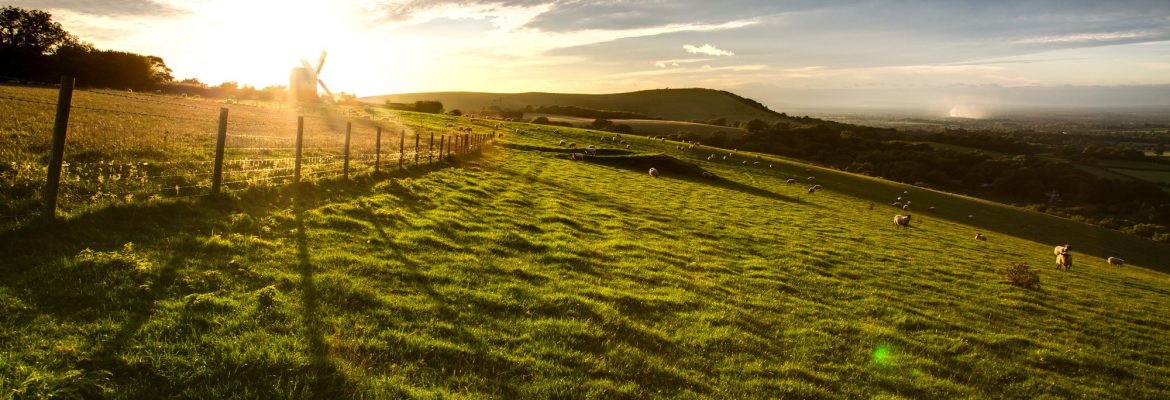 South Downs National Park, Midhurst, UK