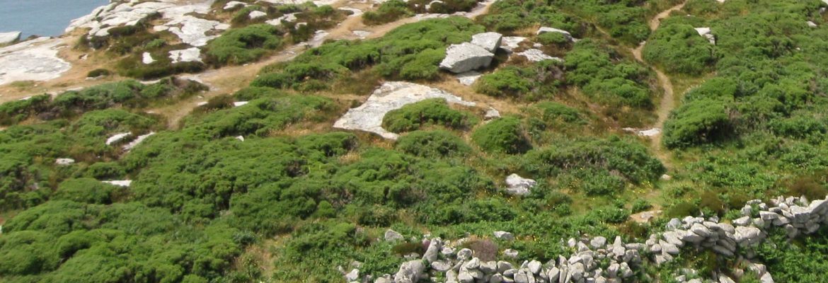 Bosigran Castle Promontory Fort