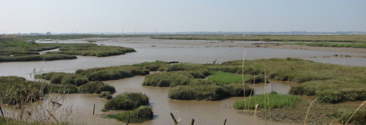 Hamford Water National Nature Reserve