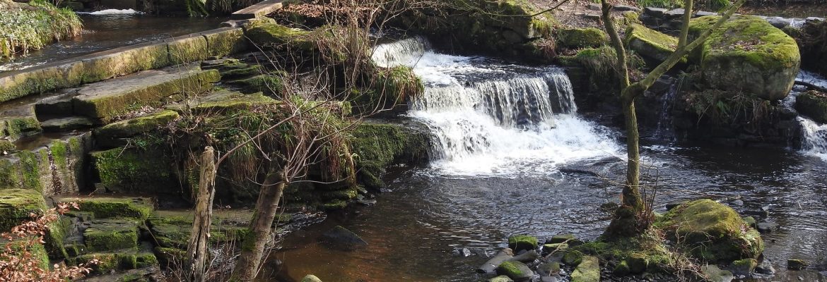 Rivelin Valley Nature Trail
