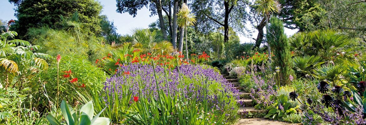 Abbotsbury Subtropical Gardens
