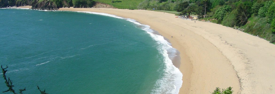 Blackpool Sands, Dartmouth