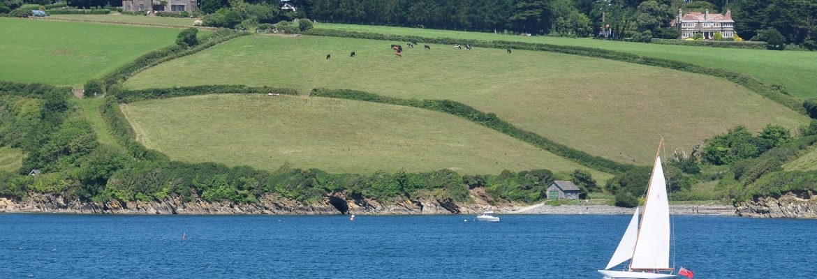 Bosahan Cove