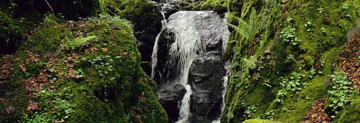 Canonteign Falls