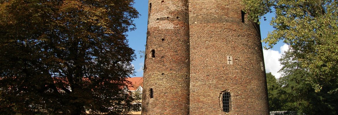 Cow Tower