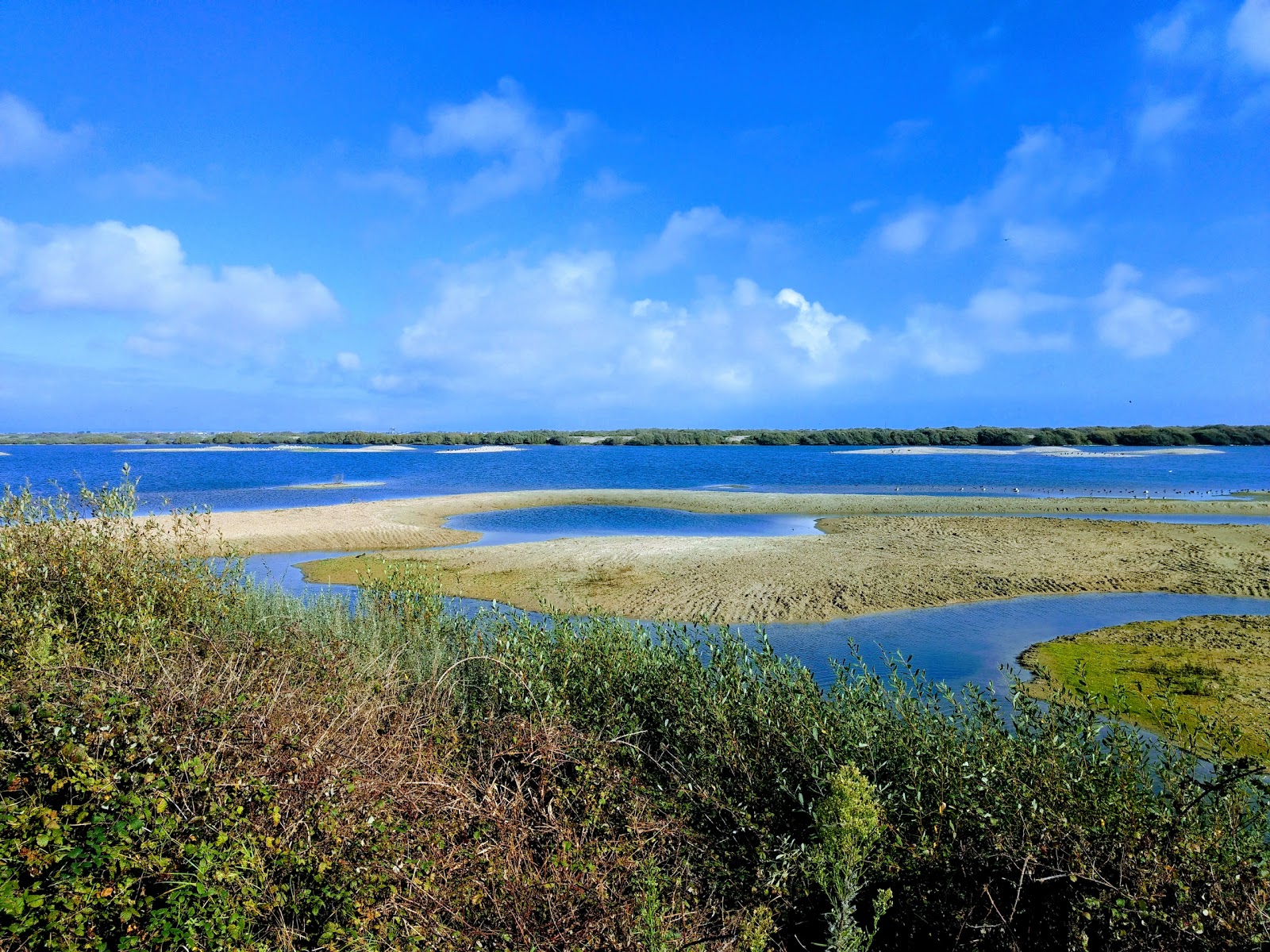 Nearest Nature Reserve