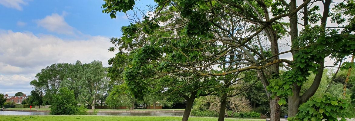 East Park
