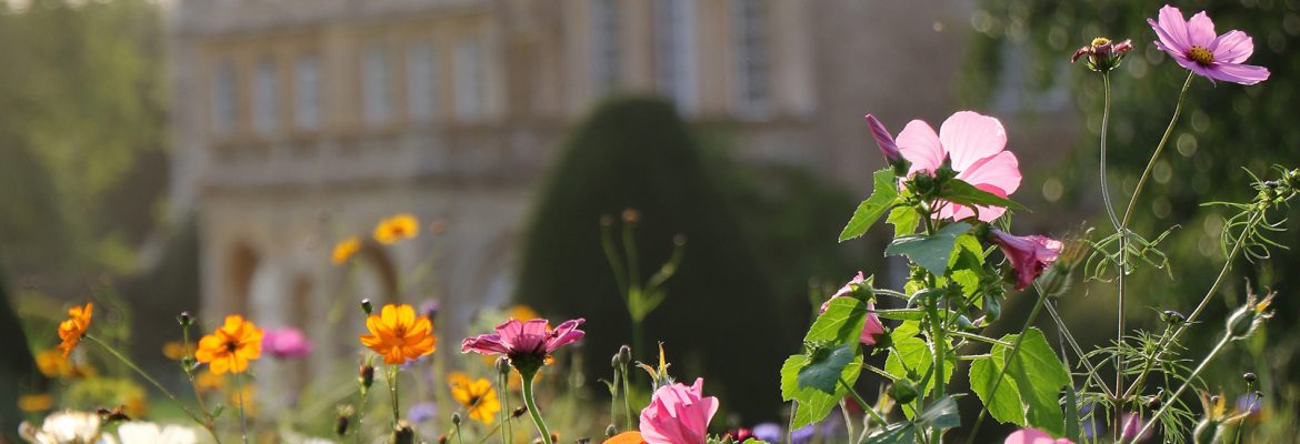 Forde Abbey House and Gardens