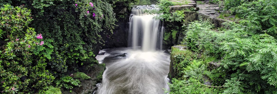 Jesmond Dene